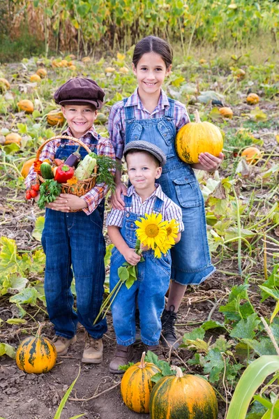 Kids with vegetables on field — Stock Photo, Image