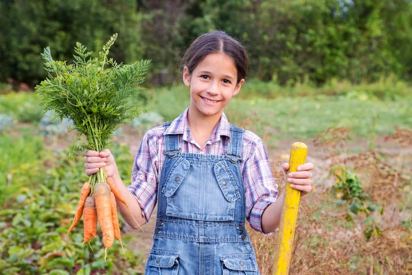 Девушка с кучей моркови — стоковое фото