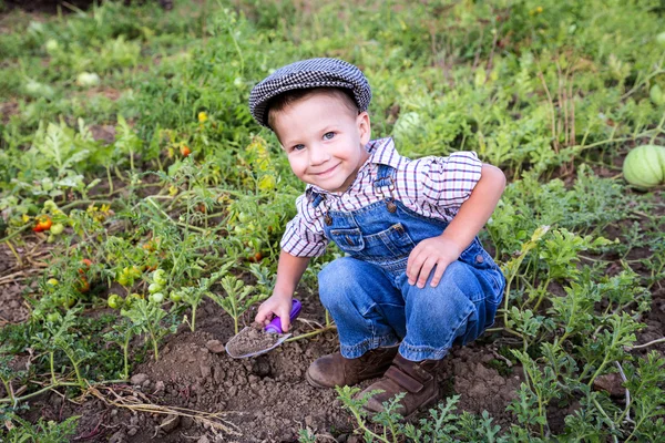 Petit garçon creusant dans le jardin — Photo