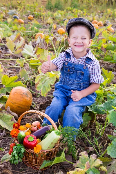 Kid på fältet med korg med grönsaker — Stockfoto