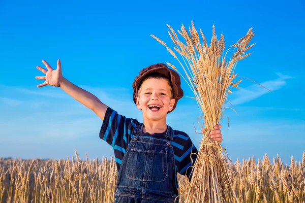 Gelukkig boeren jongen op tarweveld — Stockfoto