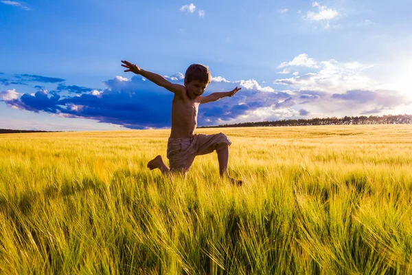 Saltando chico en el campo de trigo — Foto de Stock