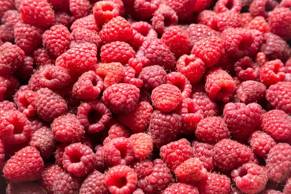 Food background with raspberry — Stock Photo, Image