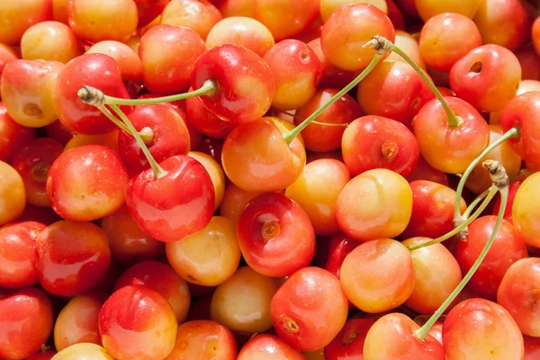 Achtergrond met rood-gele cherry — Stockfoto