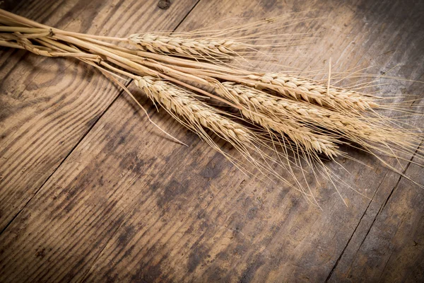 Пшеничный сноп на деревянном фоне — стоковое фото