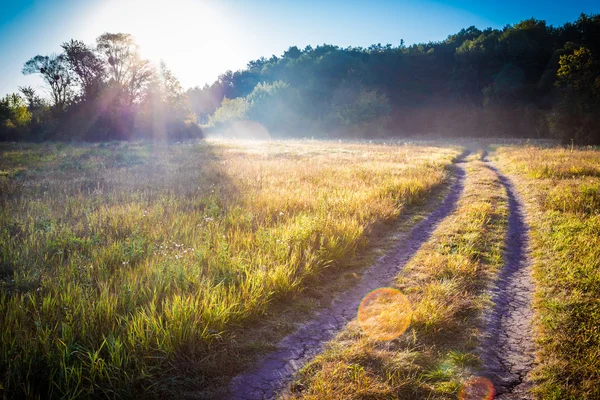 Sunrise ködös réten, őszi koncepció — Stock Fotó