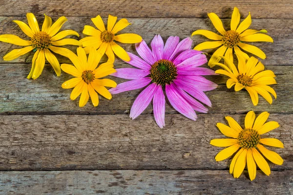 Yellow and pink flowers on wooden background — Stock Photo, Image