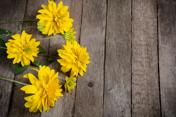 Yellow flowers on wooden background — Stock Photo, Image