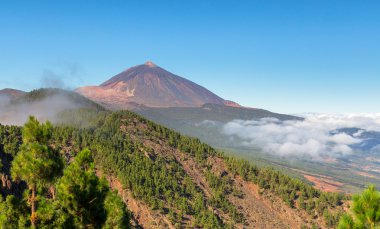 Teide Tenerife