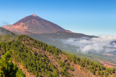 Teide Orotava Vadisi