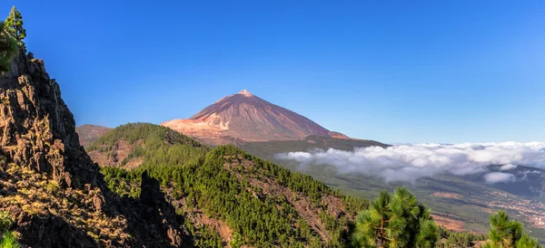 Тейде панорамний Стокове Фото