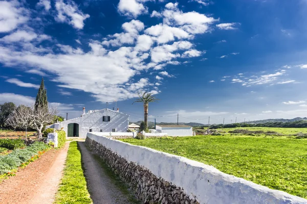 Champ Menorca Printemps Dans Les Îles Baléares — Photo