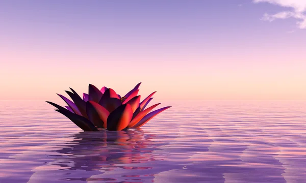 Illustration Water Lily Floating Water Sunset — Stock Photo, Image