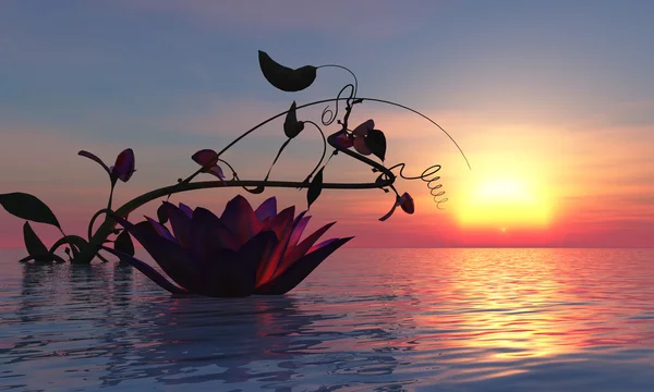 3d illustration water lily floating in the water and sunset