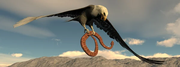 kartal