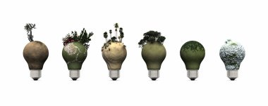 ampul ve ekosistemler