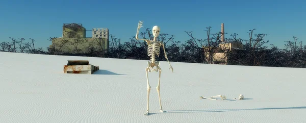 Σκελετός στην έρημο — Φωτογραφία Αρχείου