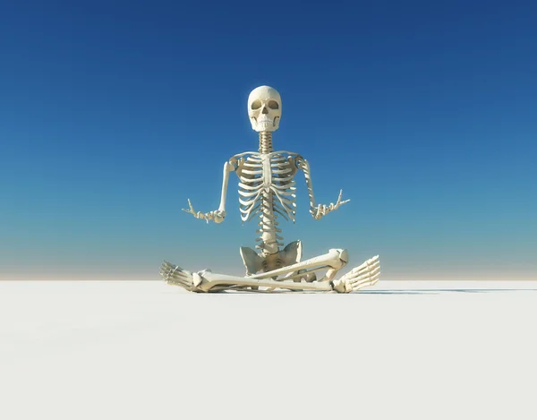 Esqueletos — Foto de Stock