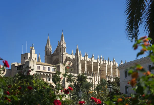 Mallorca katedrális palma városában — Stock Fotó