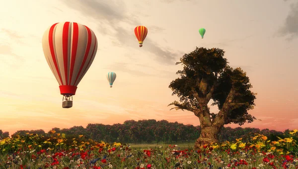 Landscaoe en hete lucht ballonnen — Stockfoto