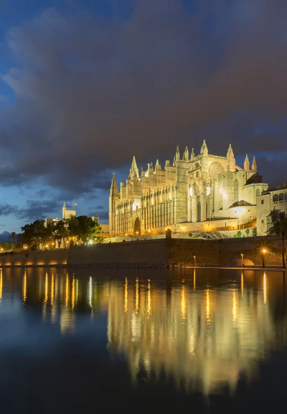 Mallorca-katedralen i palma stad — Stockfoto