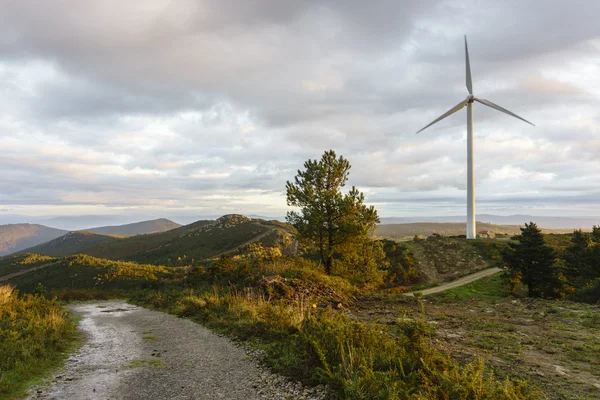 Éoliennes en Galice — Photo