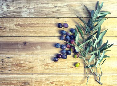 tipik Akdeniz bitkileri