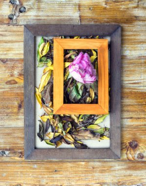 resim çerçeveleri ve çiçek ve yaprakları