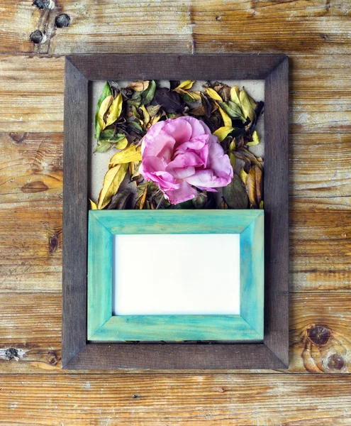 Picture frames and flowers and leaves — Stock Photo, Image