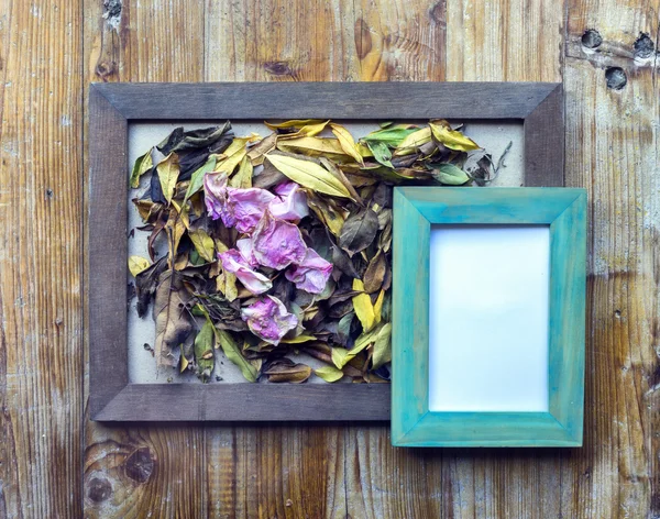 Picture frames and flowers and leaves — Stock Photo, Image