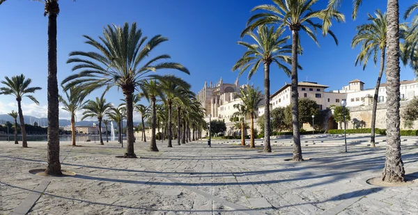 Mallorca-katedralen i Spanien — Stockfoto