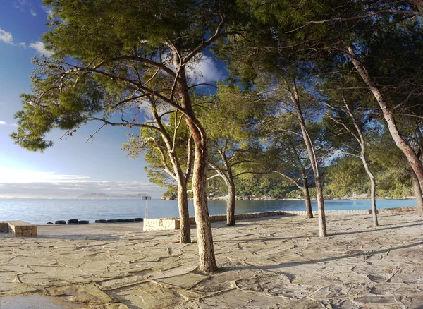 Formentor beach in Majorca — Stock Photo, Image