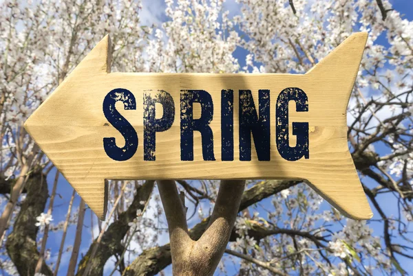 Дерев'яний знак, що вказує весну — стокове фото