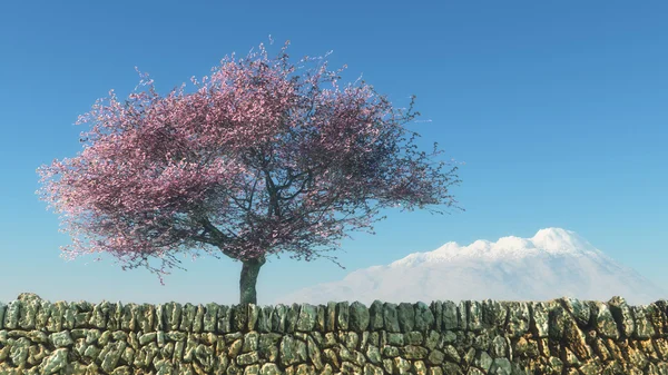 Blommande mandel träd — Stockfoto