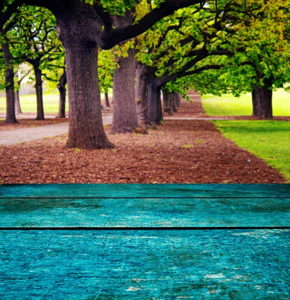 Wood surface and nature — Stock Photo, Image