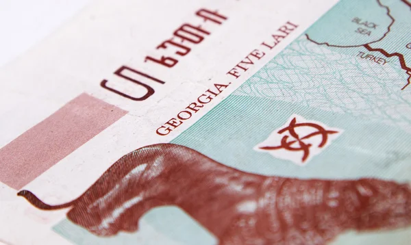 Georgian money lari  on white — Stock Photo, Image