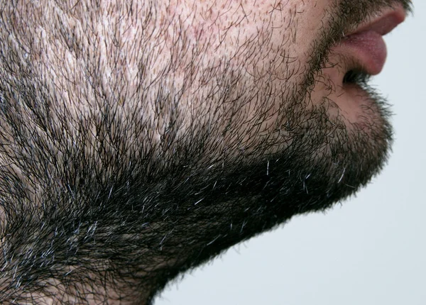 Close-up dos detalhes da barba masculina — Fotografia de Stock