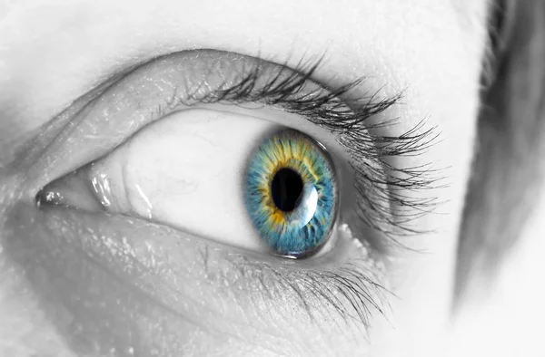 Closeup krásné ženské oko — Stock fotografie