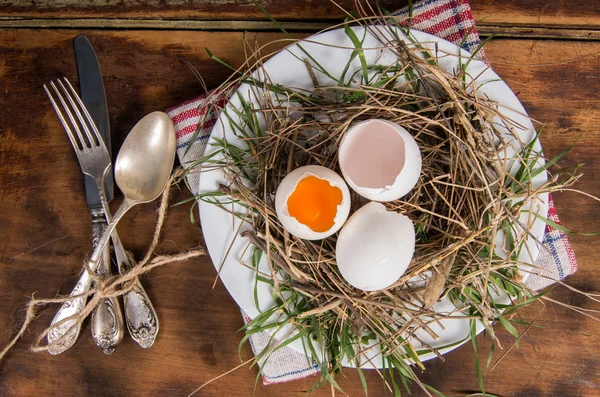 Nest with the eggs on plate — Stock Photo, Image