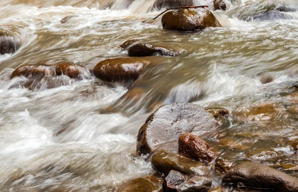 Άγρια νερό creek με ρέει νερό — Φωτογραφία Αρχείου