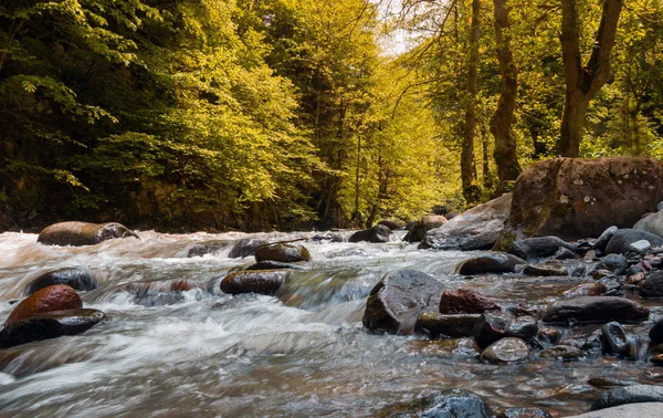Όμορφο γεωργιανό τοπίο το καλοκαίρι, ποταμού στο δάσος. Γεωργία, Καύκασος — Φωτογραφία Αρχείου