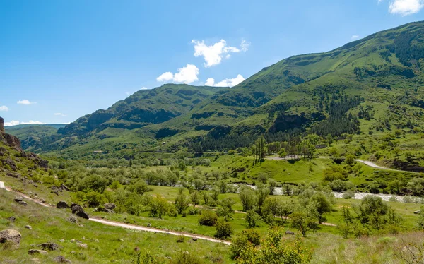 Prachtige Georgiaanse landschap in de zomer. Georgia, Caucasus — Stockfoto