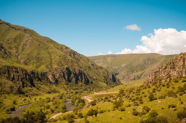 Hermoso paisaje georgiano en verano. Georgia, Cáucaso —  Fotos de Stock