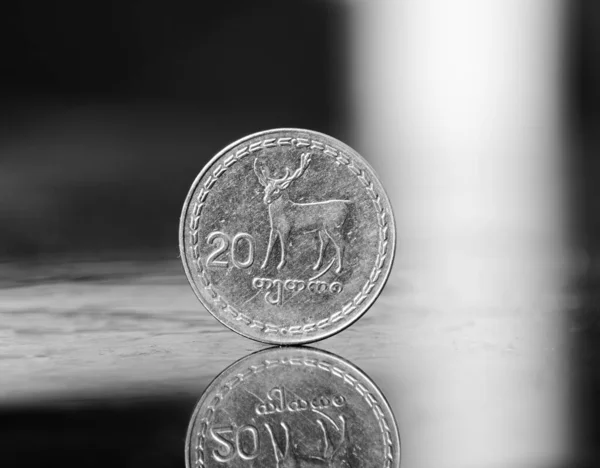 Georgian Tetri Coins Money Closeup — Stock Photo, Image