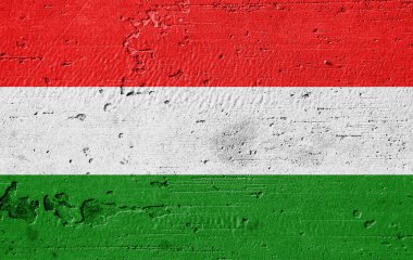 Duvarda ülke bayrağı var.