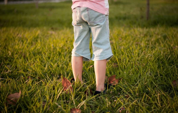 Little Girls Legs Field — Zdjęcie stockowe