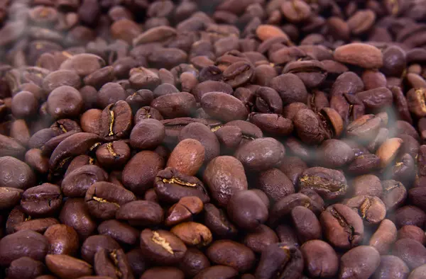 Coffee beans — Stock Photo, Image