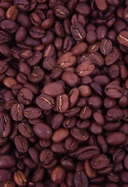 Coffee beans — Stock Photo, Image