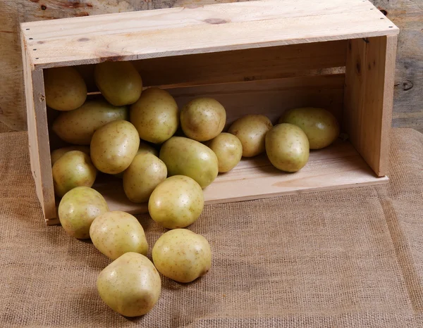 Potatoes — Stock Photo, Image