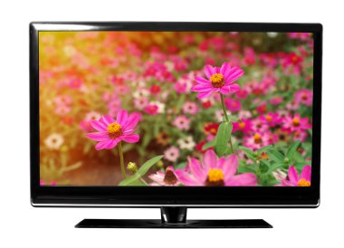 TV çiçekli